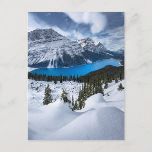 Postal Hielo y nieve Lago Peyto, Rockies Canadienses