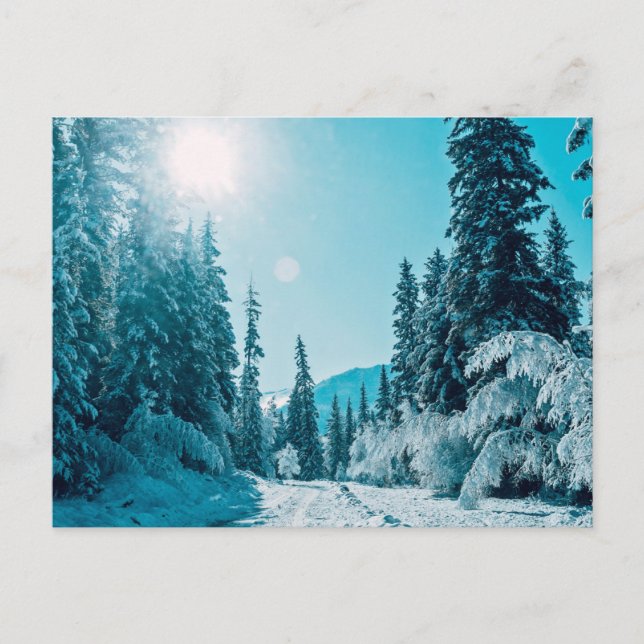 Postal Hielo y nieve | Reserva Natural de Altai, Rusia (Anverso)