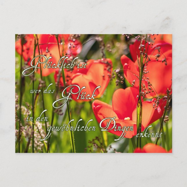 Postal ¡Hier kommt ganz viel Glück für Dich! (Anverso)