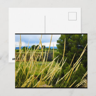 Postal Hierba Silvestre del Campo