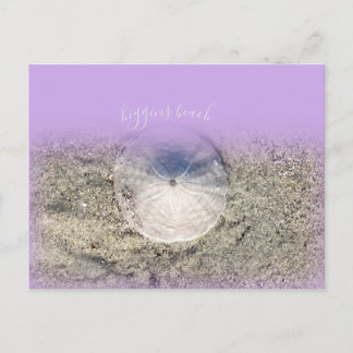 Postal Higgins Beach Maine Sand Dollar Morple Ombr