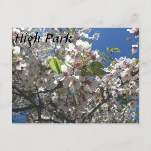 Postal High Park