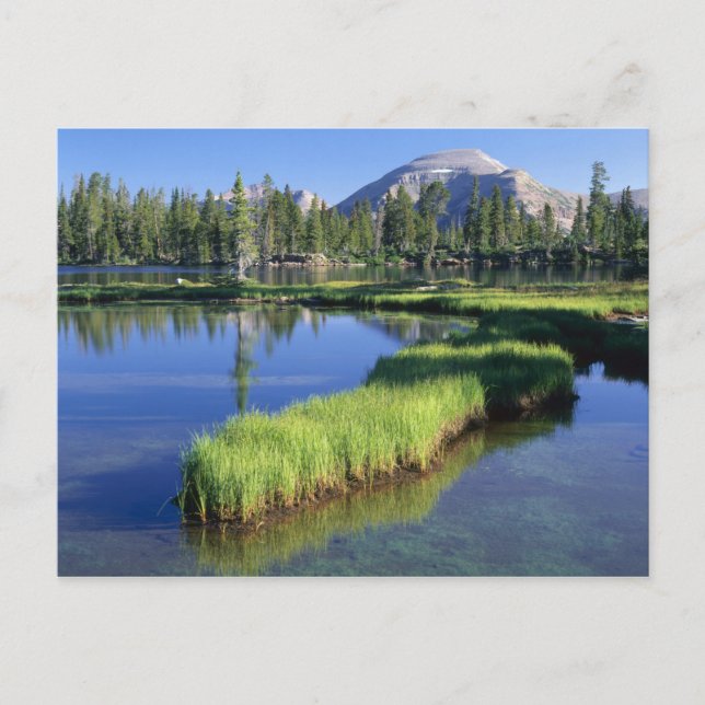 Postal HIGH UINTAS WILDERNESS, UT, EE. UU., penisula, (Anverso)