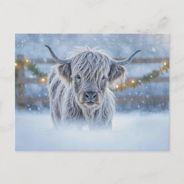 Postal Highland Calf in Snow Christmas Holiday (Anverso)