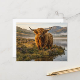 Postal Highland Cow Scottish Highlands Misty Loch Sunrise