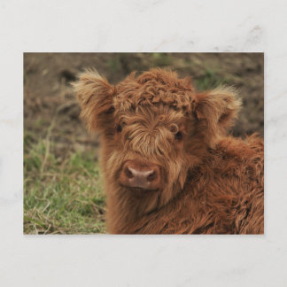 Postal Highlander de Escocia