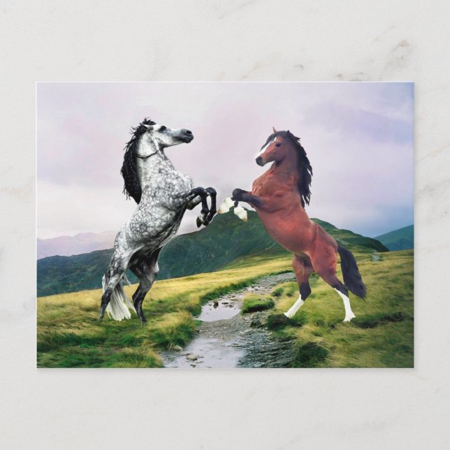 Postal "Hill Skirmish" (Anverso)