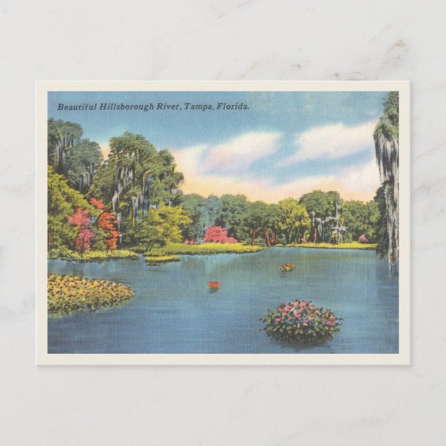Postal Hillsborough River Tampa Florida (Anverso)