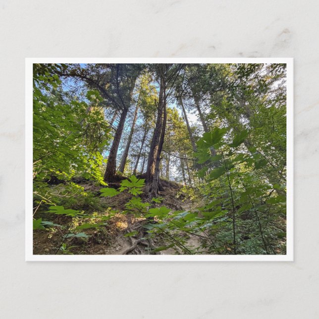 Postal Hillside (Anverso)