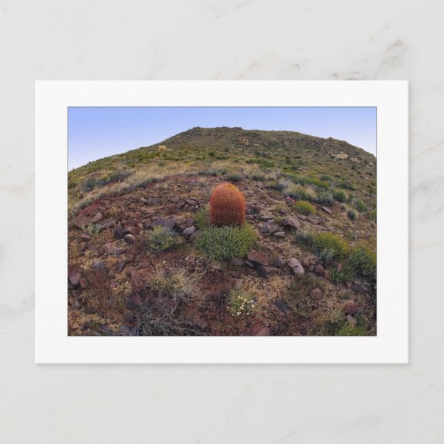 Postal " Hillside Silo " (Anverso)