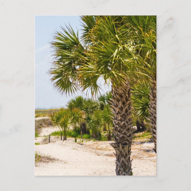 Postal hilton head georgia beach and ocean "south beach" (Anverso)