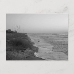 Postal Hilton Head Island Shoreline/ Black And White