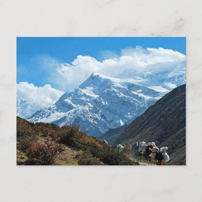 Postal Himalaya Monte Everest India Nepal Viaje en verano (Anverso)