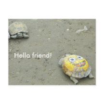 Hinchas de la tortuga Bob Esponja