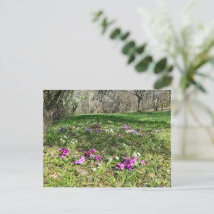 Postal Hinchera de la primavera