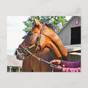 Postal Hípica granja #47 en Saratoga