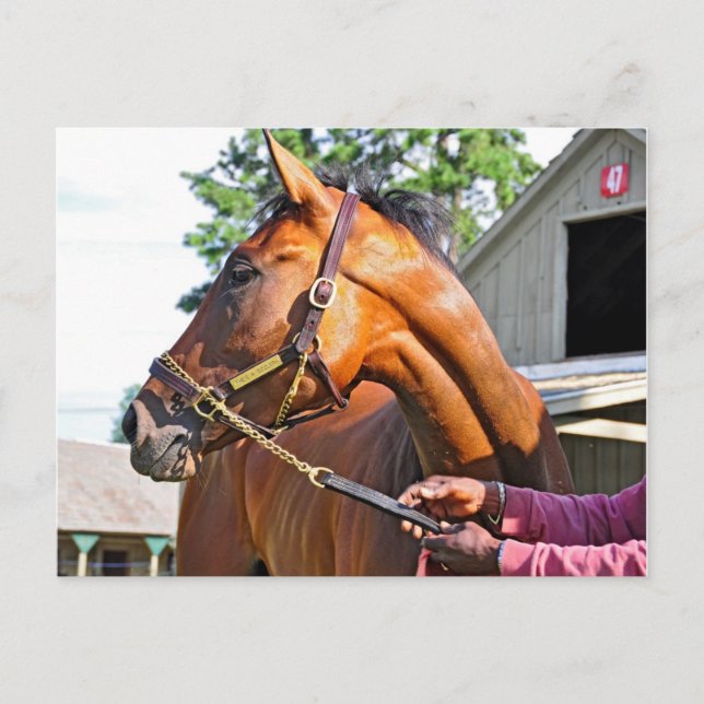 Postal Hípica granja #47 en Saratoga (Anverso)