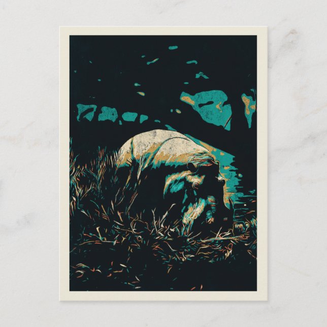 Postal hipopótamo cerca de un río, hipopótamo (Anverso)