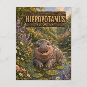 Postal Hipopótamo Libro Infantil de Cuentos Animal de Gua