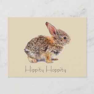 Postal Hippity Hoppity Cottontail Rabbit