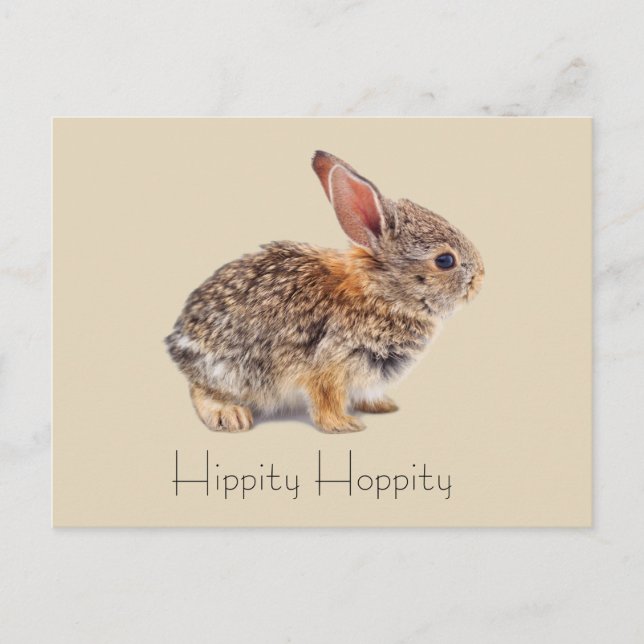 Postal Hippity Hoppity Cottontail Rabbit (Anverso)