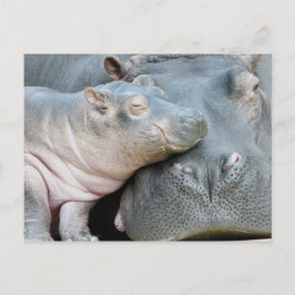 Postal Hippo