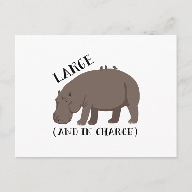 Postal Hippo grande (Anverso)