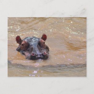 Postal Hippo sumergida