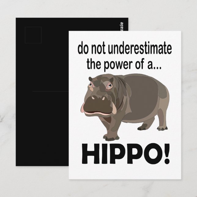 Postal Hippopótamo Animal Gracioso Hippo (Anverso / Reverso)