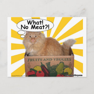 Postal ¡Hippy Kitty Qué! ¡¿Sin carne?!