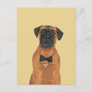 Postal Hipster Bull Mastiff para los amantes del perro