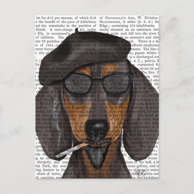 Postal Hipster Dachshund Negro y Tan (Anverso)