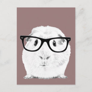 Postal Hipster Pigster