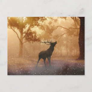 Postal Hirsch, un hermoso paisaje natural