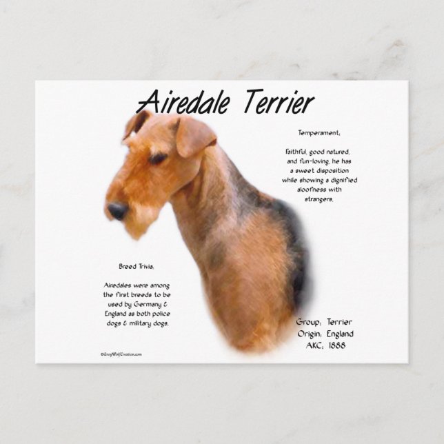 Postal Historia de Airedale Terrier (Anverso)