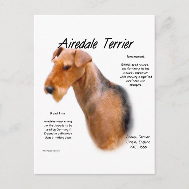 Postal Historia de Airedale Terrier (Anverso)