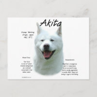 Historia de Akita Blanca