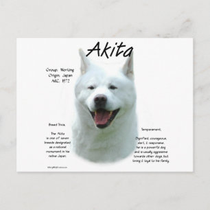 Postal Historia de Akita Blanca