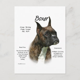 Postal Historia de Brindle Boxer