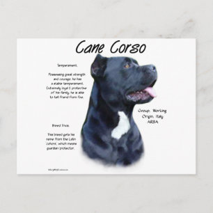 Postal Historia de Cane Corso