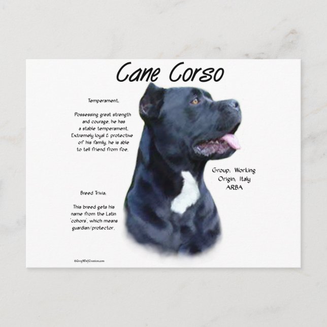 Postal Historia de Cane Corso (Anverso)