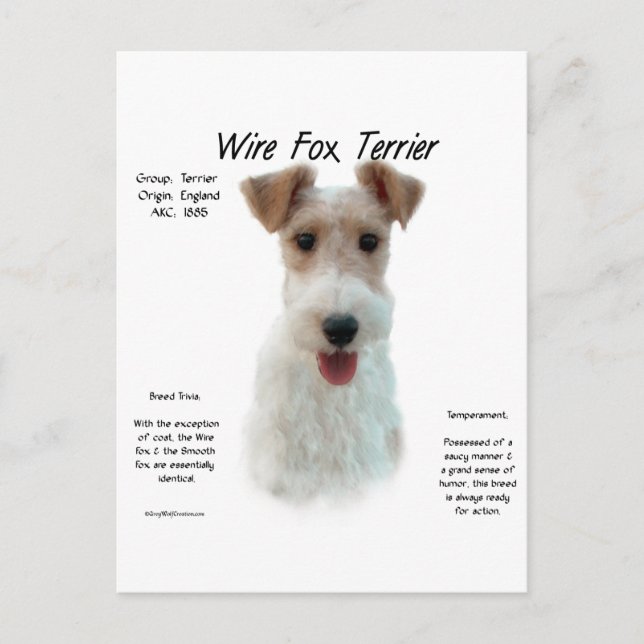 Postal Historia de Fox Terrier de Wire; sobre el zorro de (Anverso)