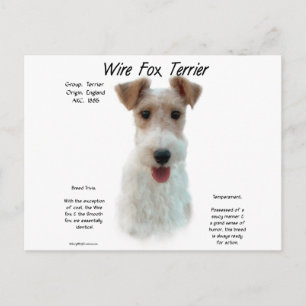 Postal Historia de Fox Terrier de Wire; sobre el zorro de