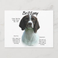 Historia de Hígado Bretaña Español