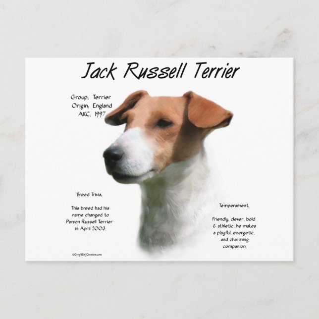 Postal Historia de Jack Russell Terrier (Anverso)