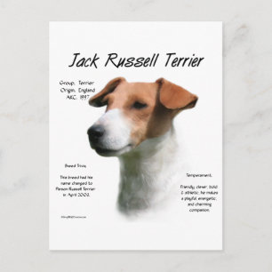 Postal Historia de Jack Russell Terrier