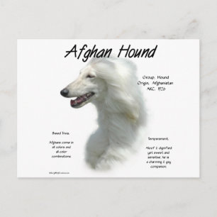 Postal Historia de la ronda blanca afgana