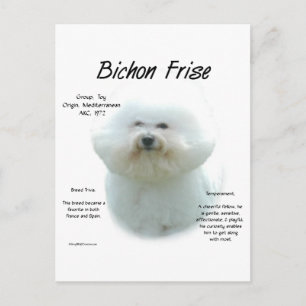 Postal Historia de las frases de Bichon Frise; todo sobre