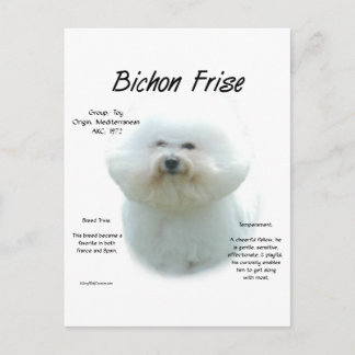 Postal Historia de las frases de Bichon Frise; todo sobre