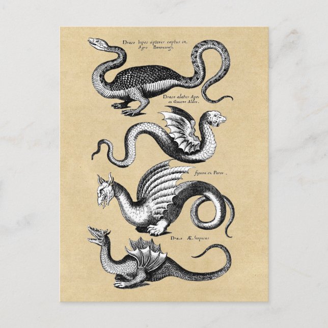 Postal Historia de los dragones Sepia (Anverso)